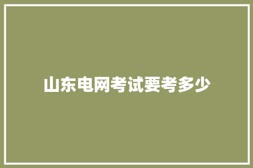 山东电网考试要考多少