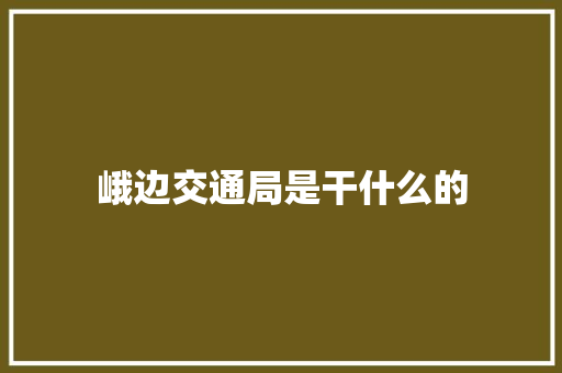 峨边交通局是干什么的