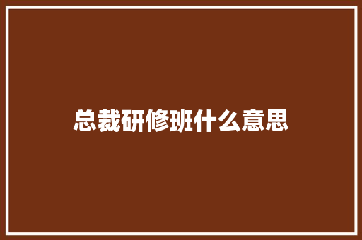 总裁研修班什么意思