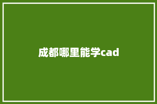 成都哪里能学cad