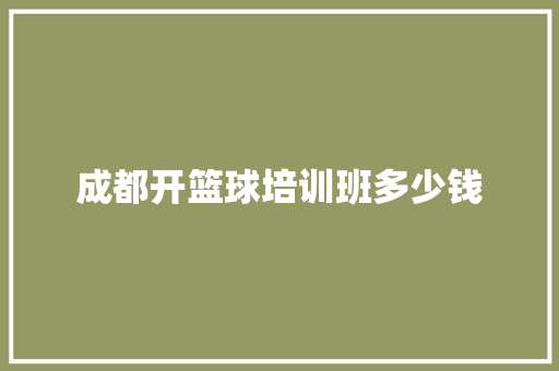 成都开篮球培训班多少钱