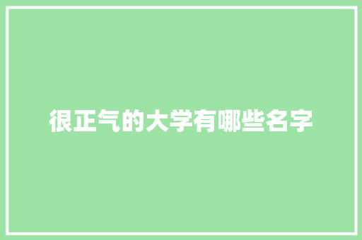 很正气的大学有哪些名字