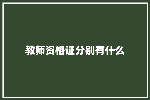 教师资格证分别有什么