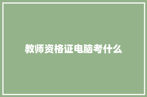 教师资格证电脑考什么