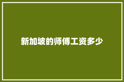 新加坡的师傅工资多少