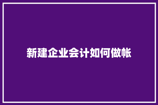 新建企业会计如何做帐