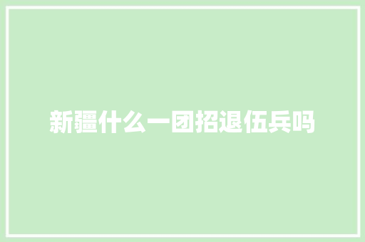 新疆什么一团招退伍兵吗