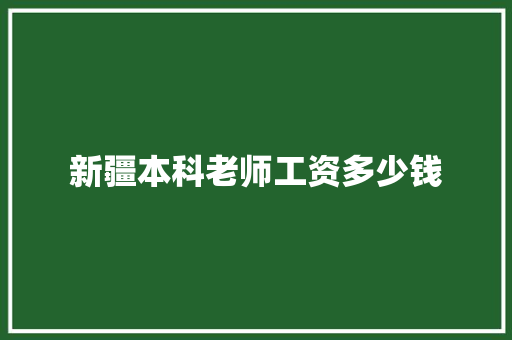 新疆本科老师工资多少钱