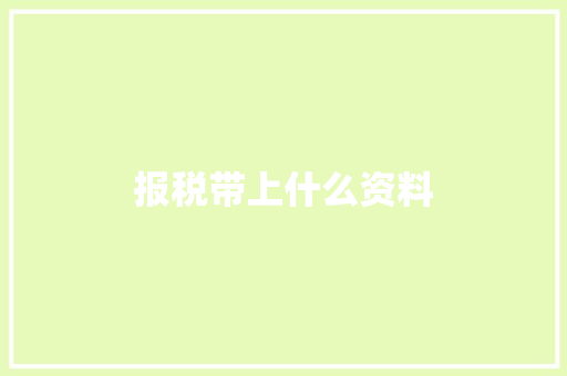 报税带上什么资料