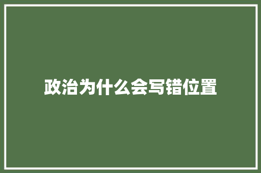 政治为什么会写错位置