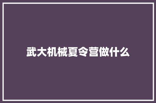 武大机械夏令营做什么