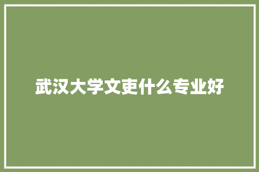 武汉大学文吏什么专业好
