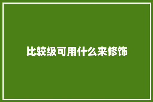 比较级可用什么来修饰