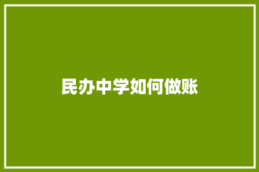 民办中学如何做账