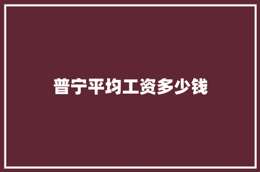 普宁平均工资多少钱
