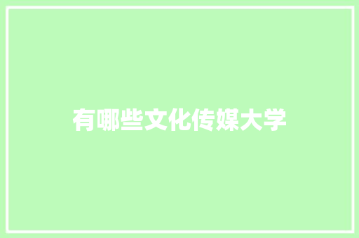 有哪些文化传媒大学