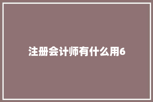 注册会计师有什么用6