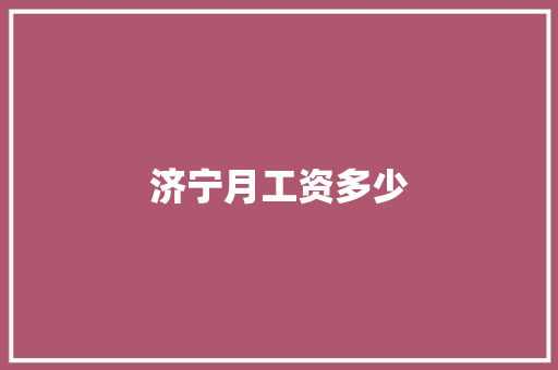 济宁月工资多少