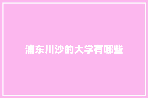浦东川沙的大学有哪些