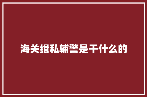 海关缉私辅警是干什么的