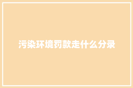 污染环境罚款走什么分录
