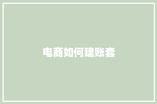 电商如何建账套