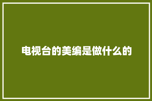 电视台的美编是做什么的 诗句鉴赏