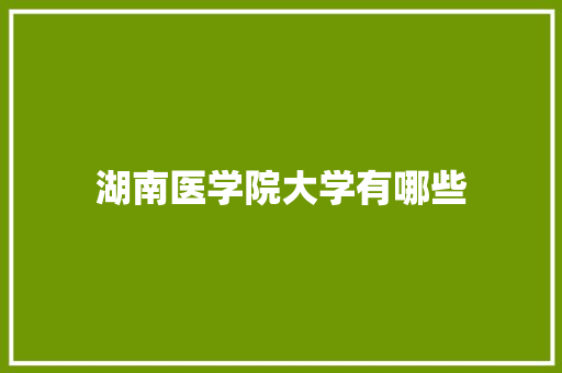 湖南医学院大学有哪些