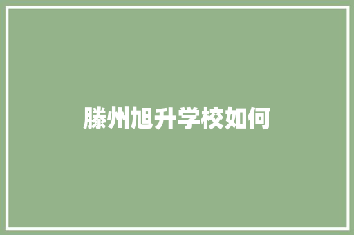 滕州旭升学校如何