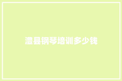 澧县钢琴培训多少钱