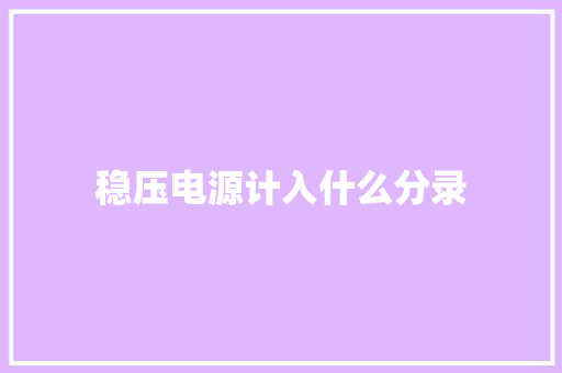 稳压电源计入什么分录