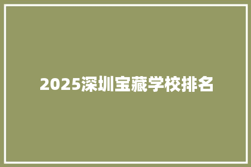 2025深圳宝藏学校排名