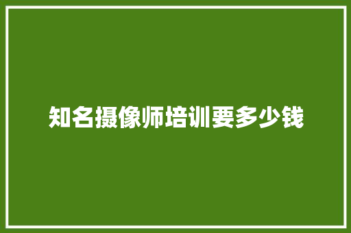 知名摄像师培训要多少钱