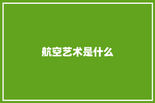 航空艺术是什么
