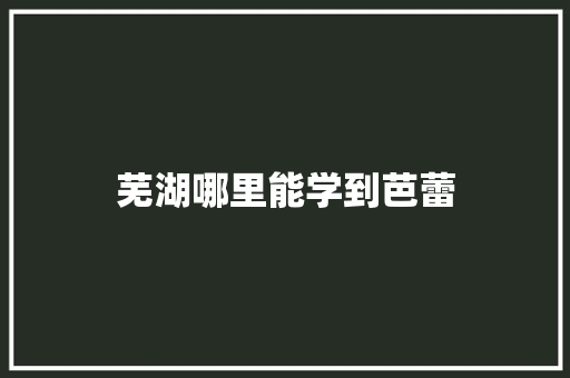 芜湖哪里能学到芭蕾