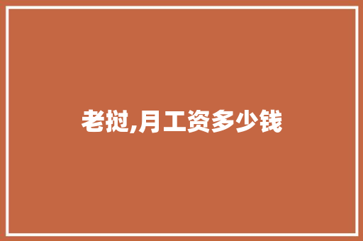 老挝,月工资多少钱