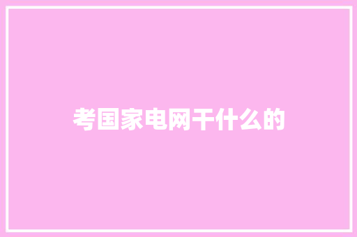 考国家电网干什么的