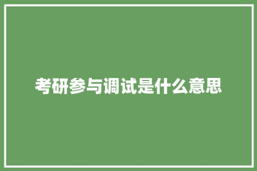考研参与调试是什么意思