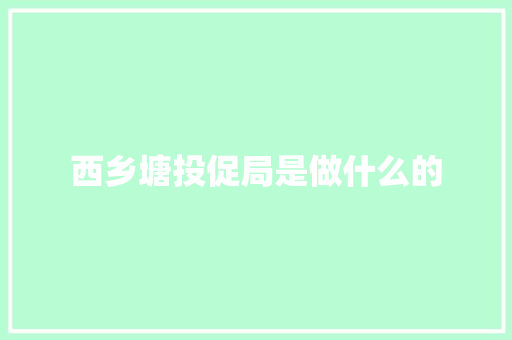 西乡塘投促局是做什么的