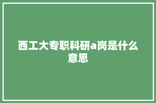 西工大专职科研a岗是什么意思