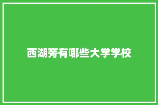 西湖旁有哪些大学学校