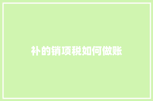 补的销项税如何做账