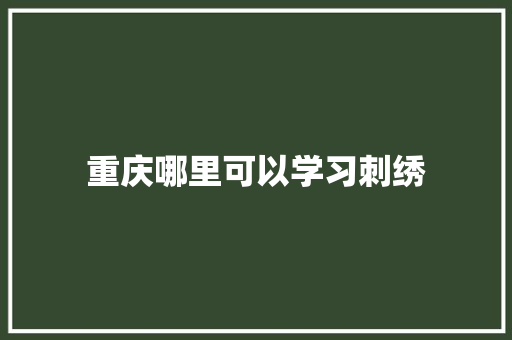 重庆哪里可以学习刺绣