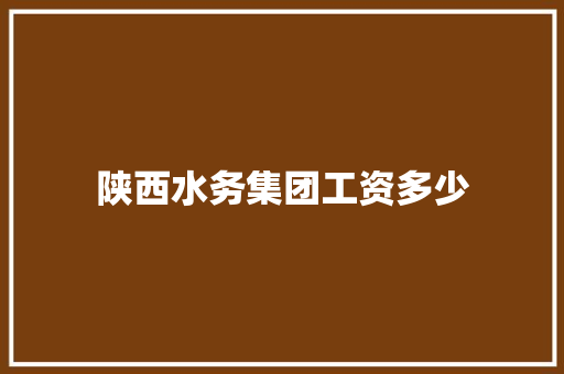 陕西水务集团工资多少