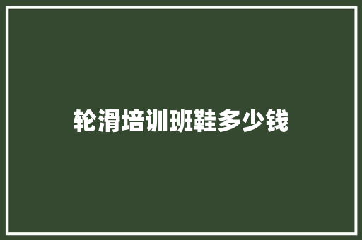 轮滑培训班鞋多少钱