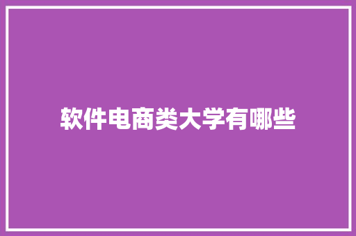 软件电商类大学有哪些