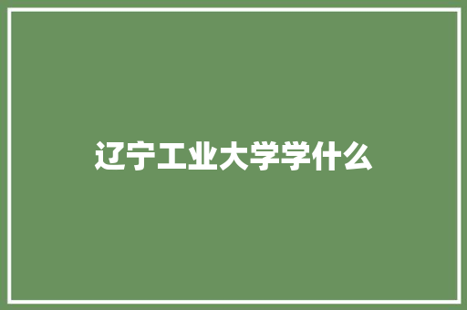 辽宁工业大学学什么