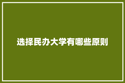 选择民办大学有哪些原则