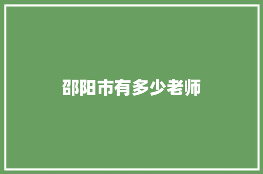邵阳市有多少老师