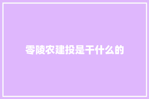 零陵农建投是干什么的